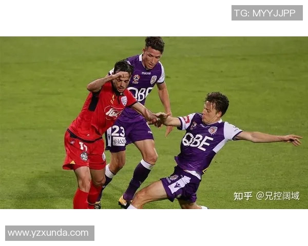 上海队与福建队激战正酣谁将赢得这场精彩对决的胜利